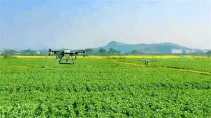 農業科學推動農業開發的創新與可持續發展