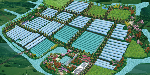 高端訪談 寧波海創科技園副總經理單揚勛談農業開發創新之路