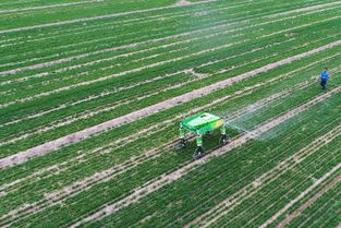 智慧農(nóng)業(yè) 科技與農(nóng)業(yè)融合下的新型農(nóng)田種植模式開發(fā)