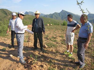 河北井陘開展農(nóng)業(yè)專項資金審計，助力農(nóng)業(yè)開發(fā)提質(zhì)增效