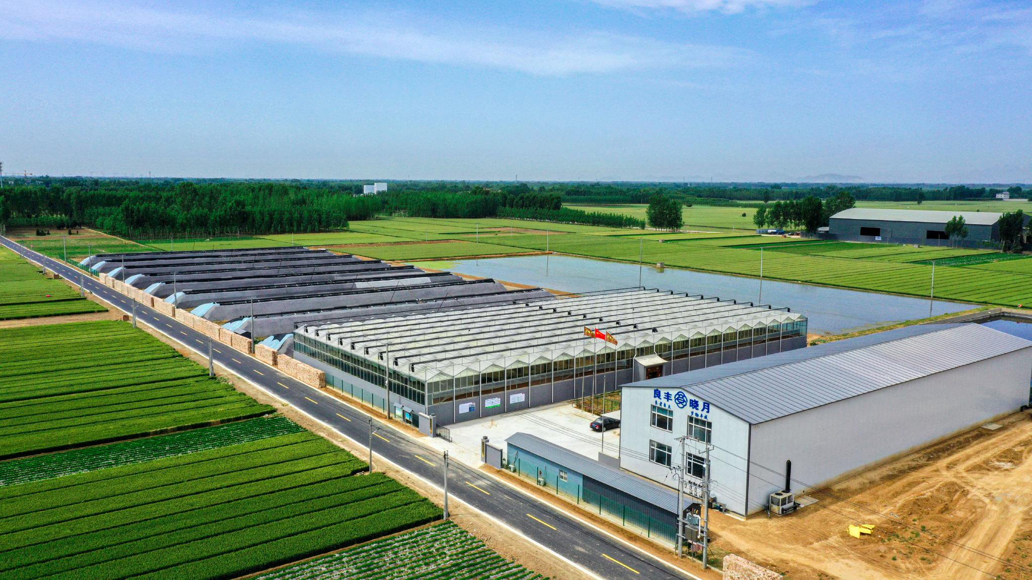 點‘綠’成金 跨界種養(yǎng)繪就農(nóng)業(yè)開發(fā)新豐景