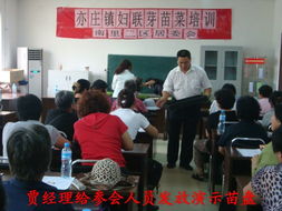 從陽臺到餐桌 有機(jī)芽苗菜的家庭種植與養(yǎng)生之道