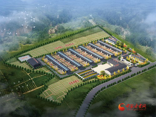 涇川加快培育新質(zhì)生產(chǎn)力，激活農(nóng)業(yè)產(chǎn)業(yè)發(fā)展新動能