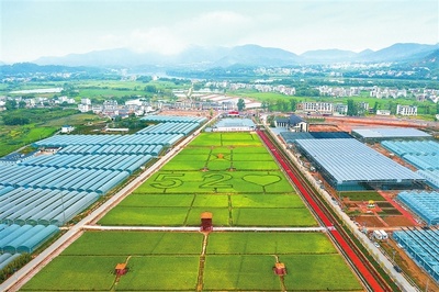 江西贛州 深耕富硒沃土，繪就現(xiàn)代農(nóng)業(yè)新圖景