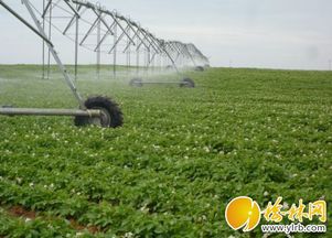 農(nóng)機(jī)補(bǔ)貼精準(zhǔn)落地，我市現(xiàn)代農(nóng)業(yè)發(fā)展注入新動(dòng)能