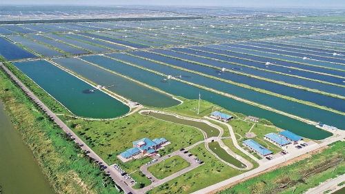 智慧農(nóng)業(yè)浪潮下，農(nóng)墾如何走在前列，引領(lǐng)農(nóng)業(yè)開(kāi)發(fā)新篇章