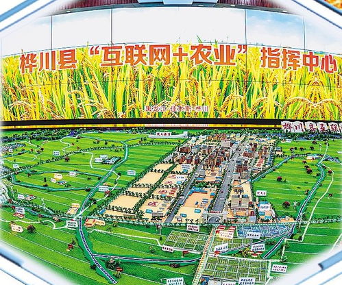 樺川以高標(biāo)準(zhǔn)鏈出農(nóng)業(yè)發(fā)展新稻路 構(gòu)建現(xiàn)代農(nóng)業(yè)發(fā)展體系