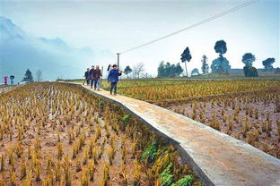 農(nóng)業(yè)綜合開發(fā) 拓寬致富路，促農(nóng)增收新引擎