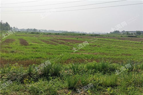 土流網(wǎng)賦能農(nóng)業(yè)綜合開發(fā) 構(gòu)建現(xiàn)代高效農(nóng)業(yè)新格局