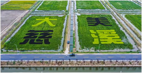 鹽堿地崛起未來之城 現(xiàn)代農(nóng)業(yè)開發(fā)區(qū)開啟產(chǎn)城融合新階段