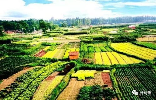 國家級田園綜合體的十大開發(fā)模式 農(nóng)旅結(jié)合與農(nóng)業(yè)開發(fā)新路徑